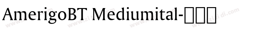 AmerigoBT Mediumital字体转换